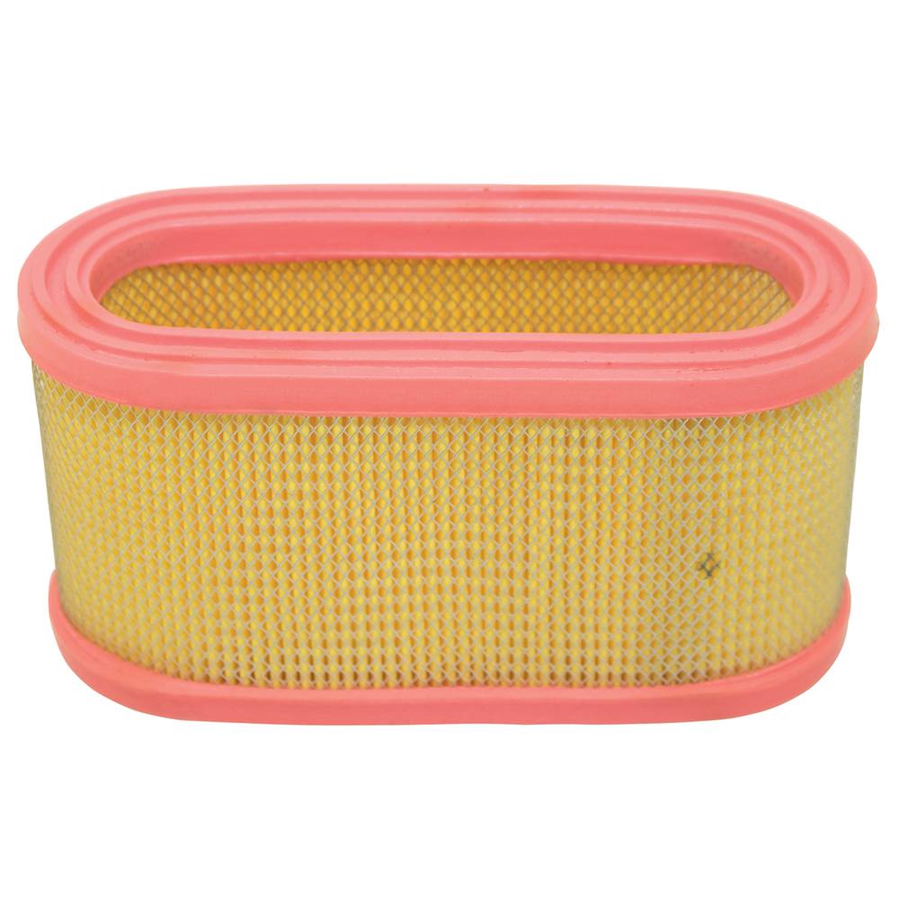 Stens® Air Filter (100-740)