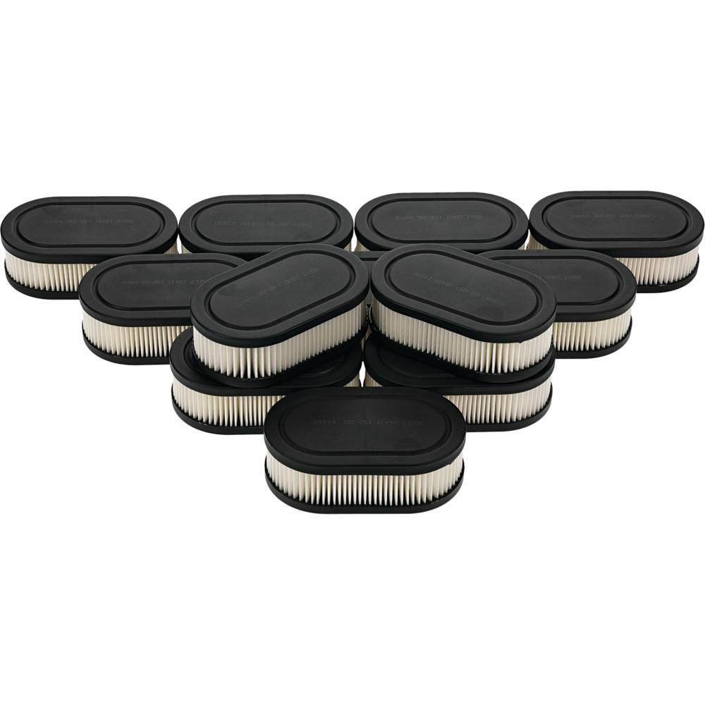 Stens® Air Filter Shop Pack (102-851-12)