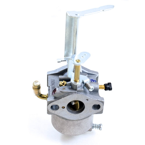 Toro® COMPLETE CARB SERVICE (119-1977)