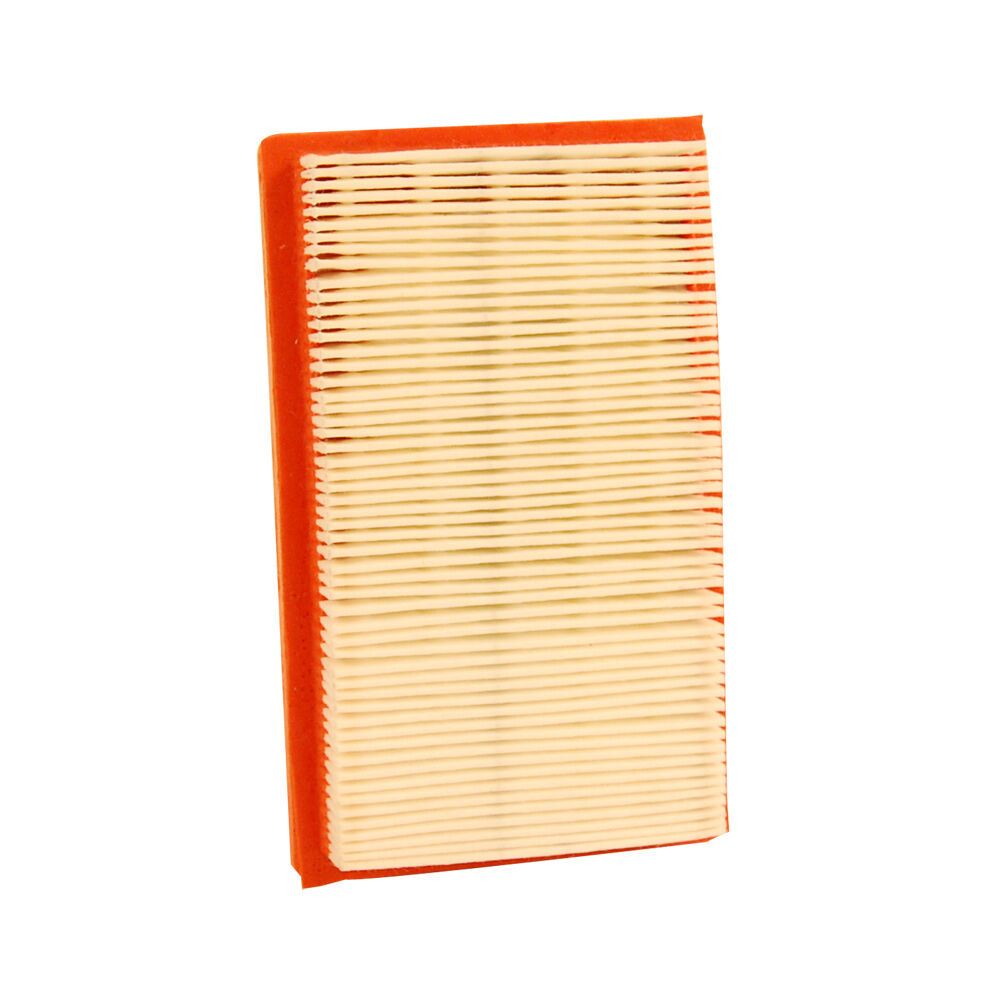 Cub Cadet® Air Filter (1408301S1C)