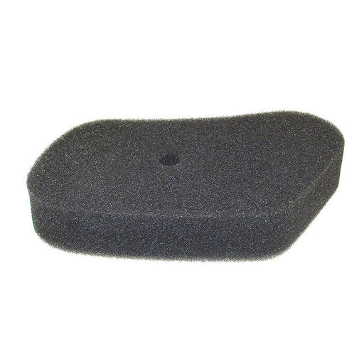 Honda® Air Filter (17211-ZG1-700)