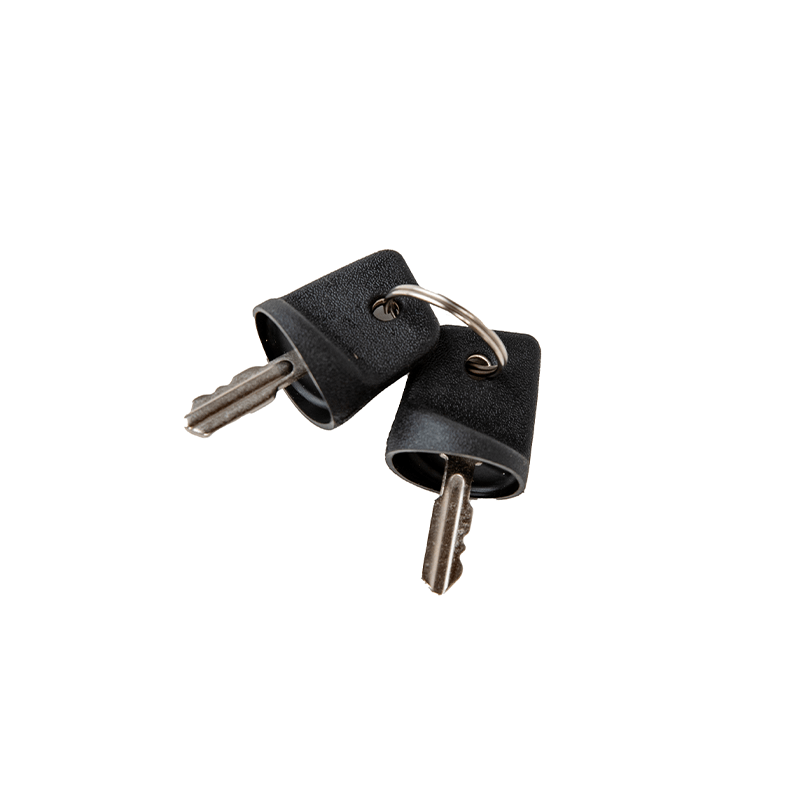 Greenworks® Key (R0201216-00)