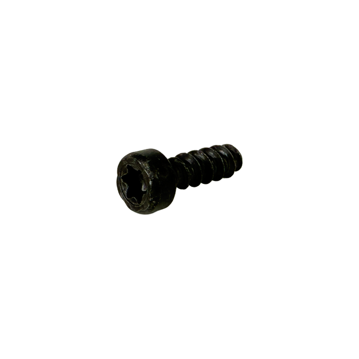 Greenworks® Screw St48x14 (32206590)