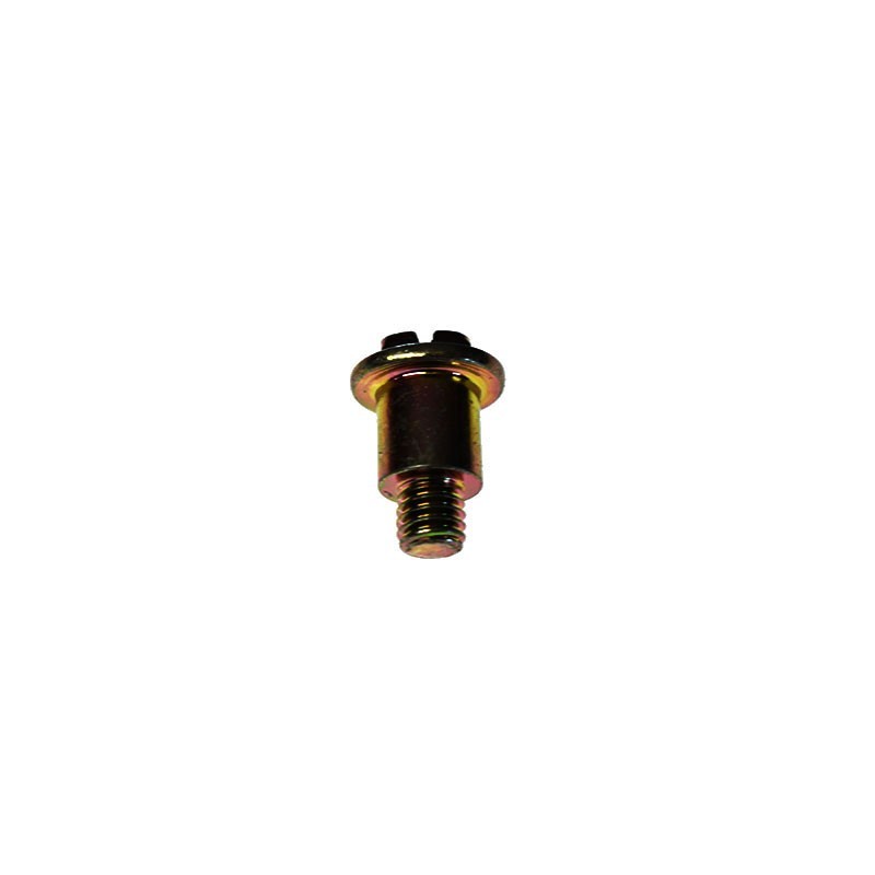 BRIGGS & STRATTON® SCREW (691696)
