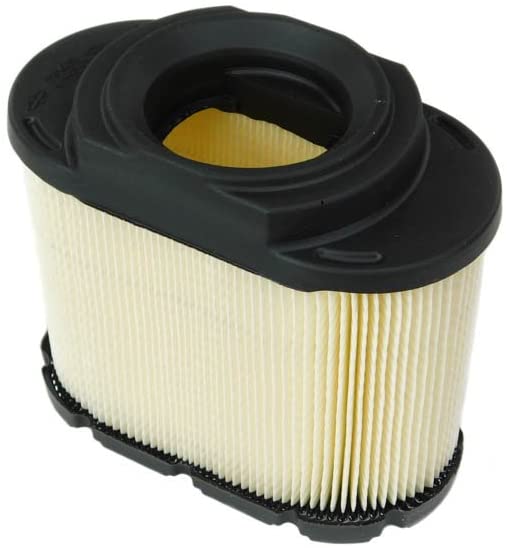Briggs & Stratton® Air filter Cartridge (593240)