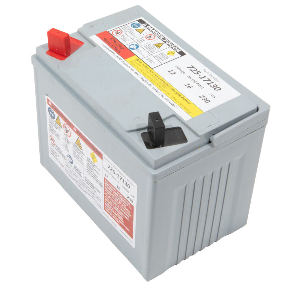 Stens® 12-Volt Absorbent Glass Mat (AGM) Battery - 230 CCA (725P17130)