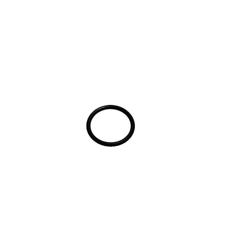 BRIGGS & STRATTON® O RING SEAL (691031)