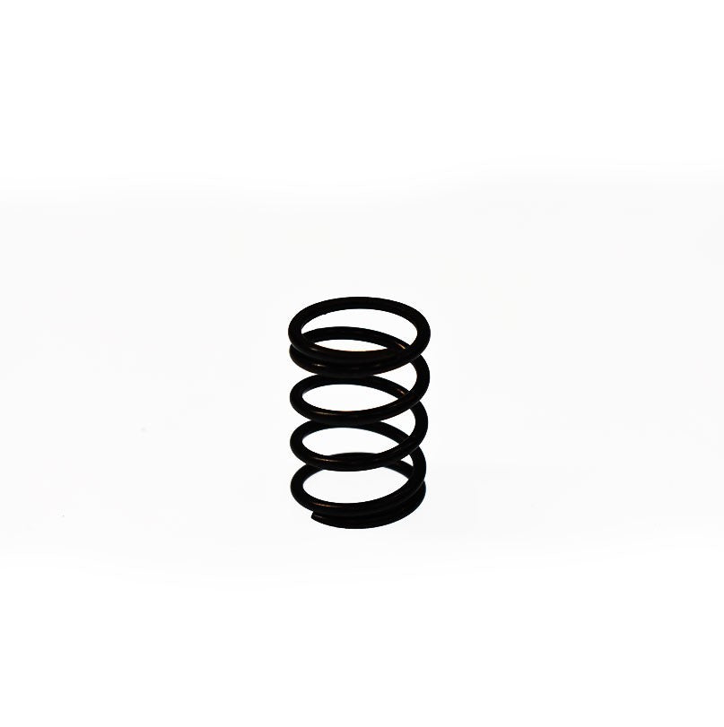 BRIGGS & STRATTON® VALVE SPRING (691304)