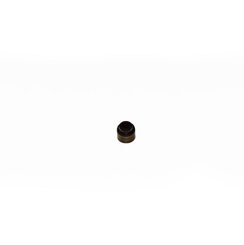 BRIGGS & STRATTON® VALVE SEAL (691963)