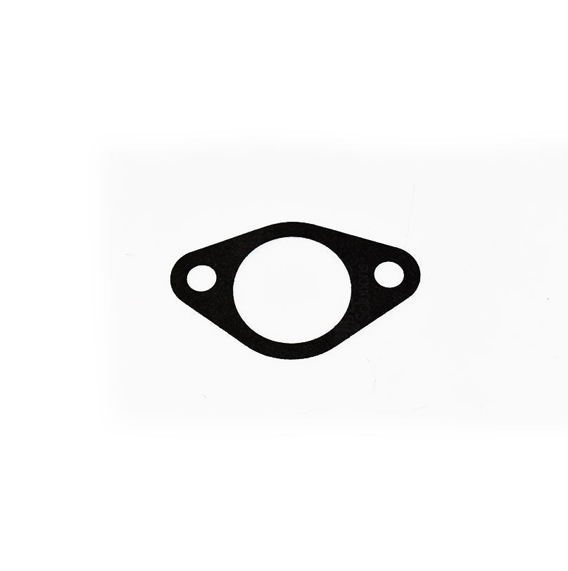 BRIGGS & STRATTON® INTAKE GASKET (797845)