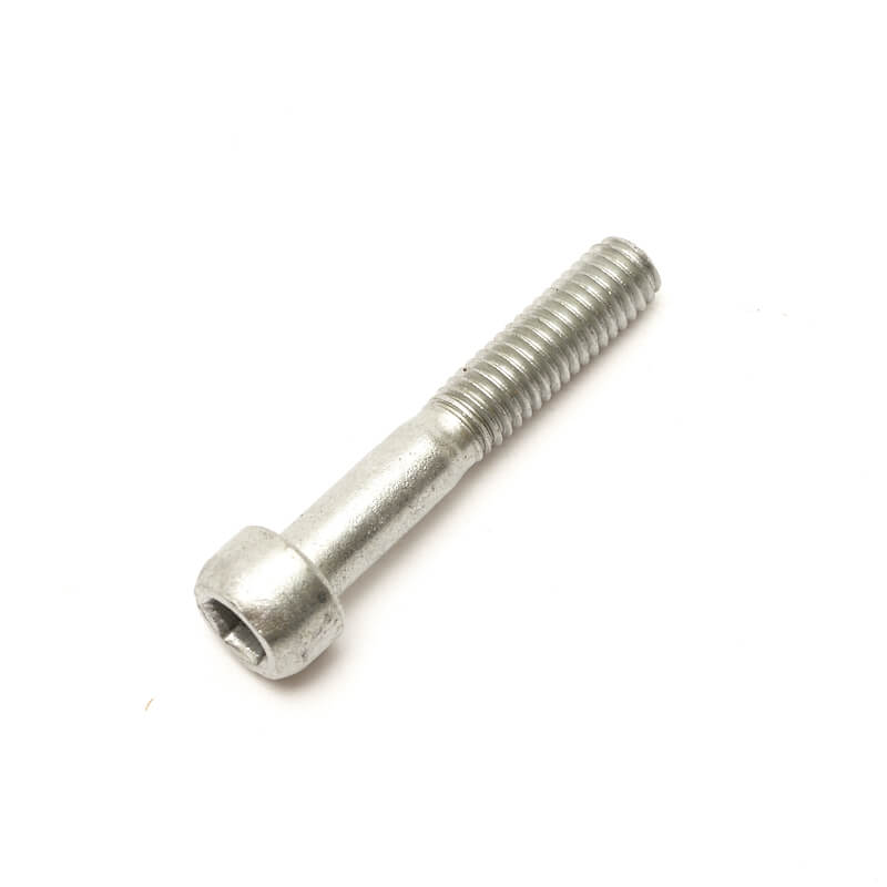 Greenworks® Screw (60-3777/2600200) (32226121)