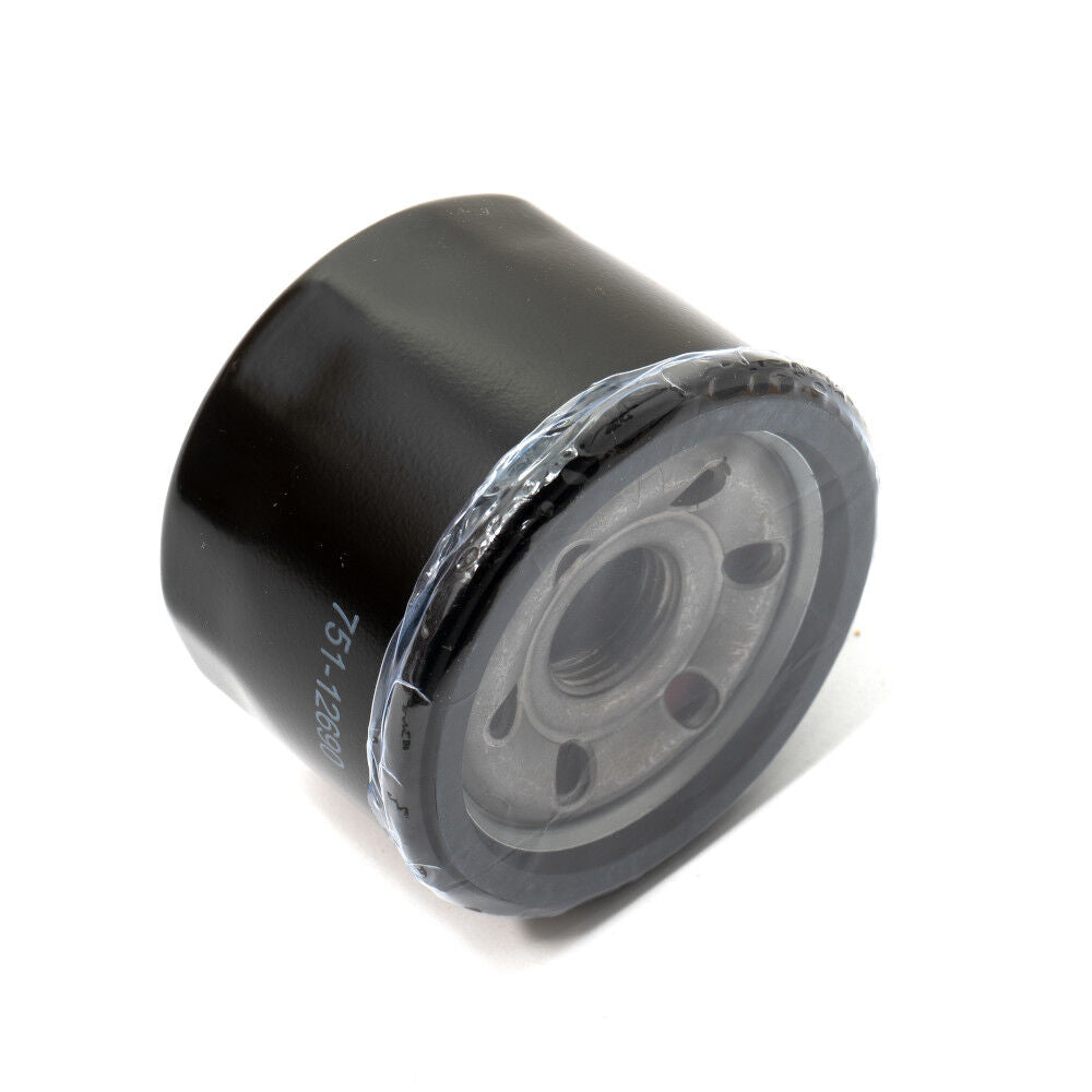 Cub Cadet® Oil Filter (951-12690)