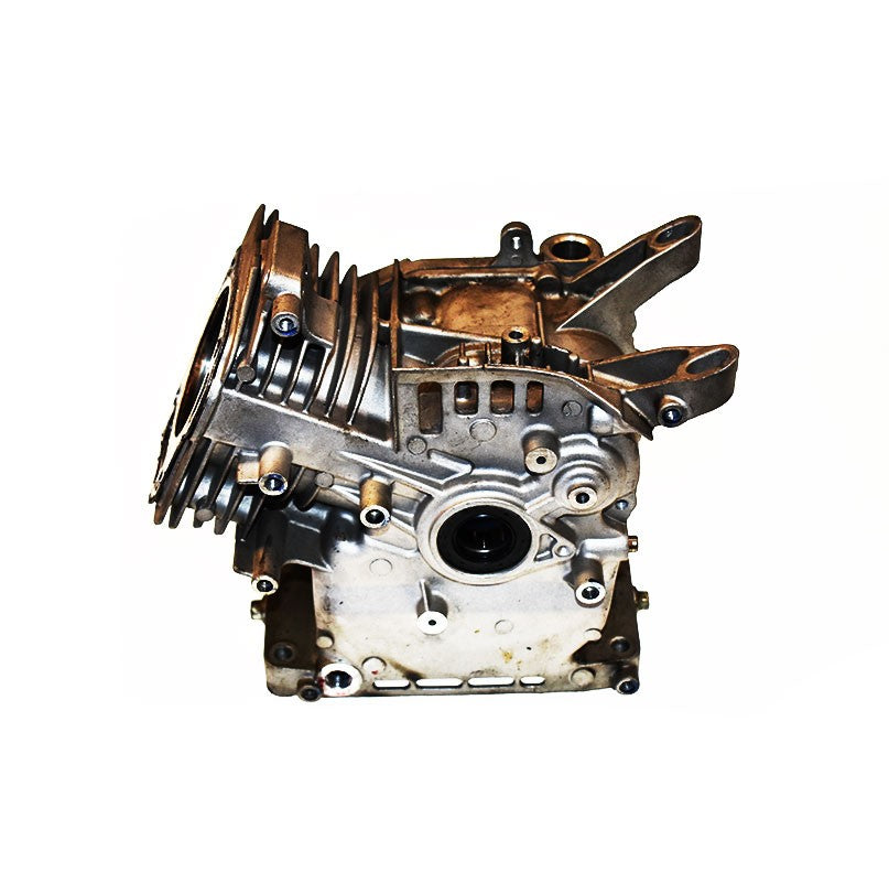 BRIGGS & STRATTON® USE 84005180 (591446)