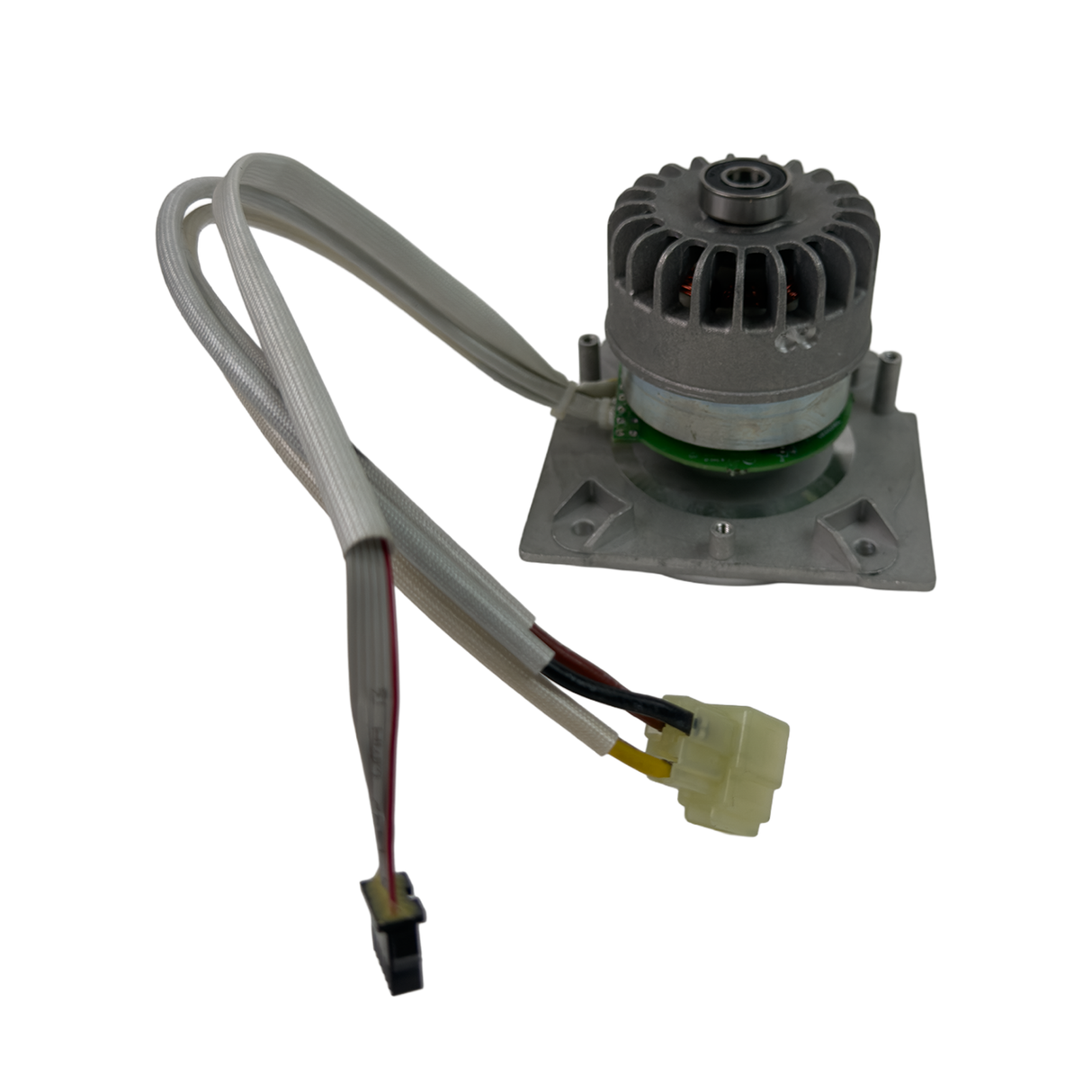Greenworks® Motor (R0204648-00)