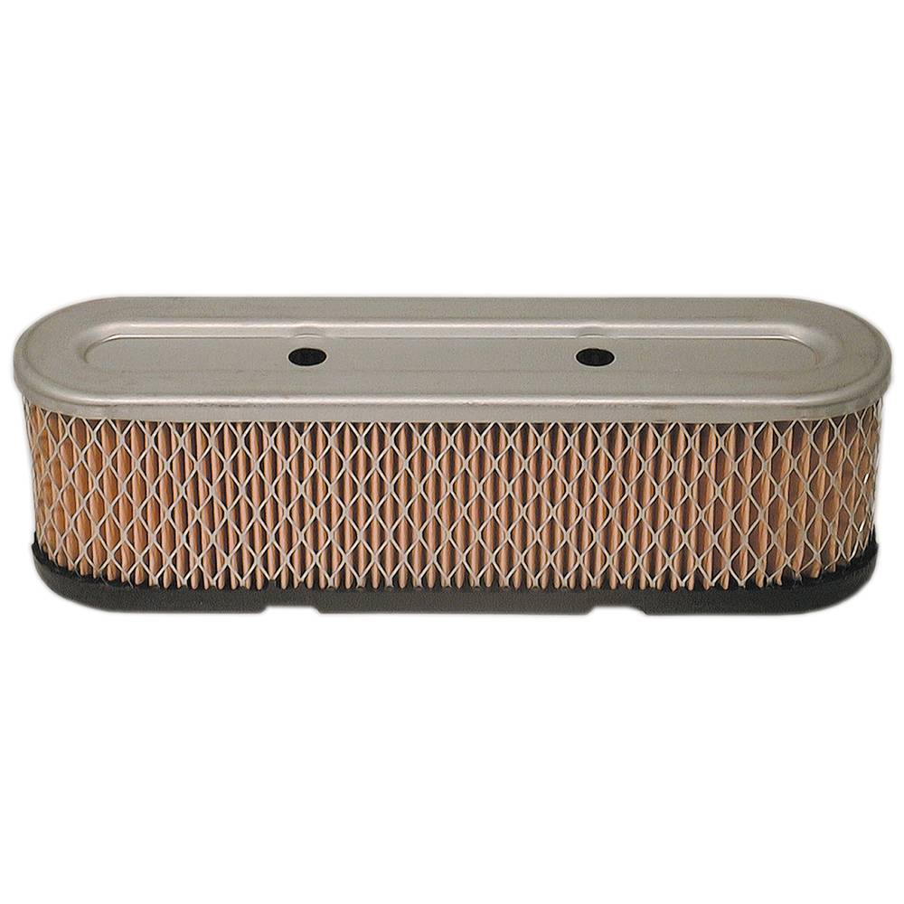 Stens® Air Filter (100-909)