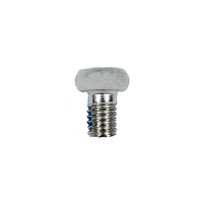 Greenworks® Screw (32206784)