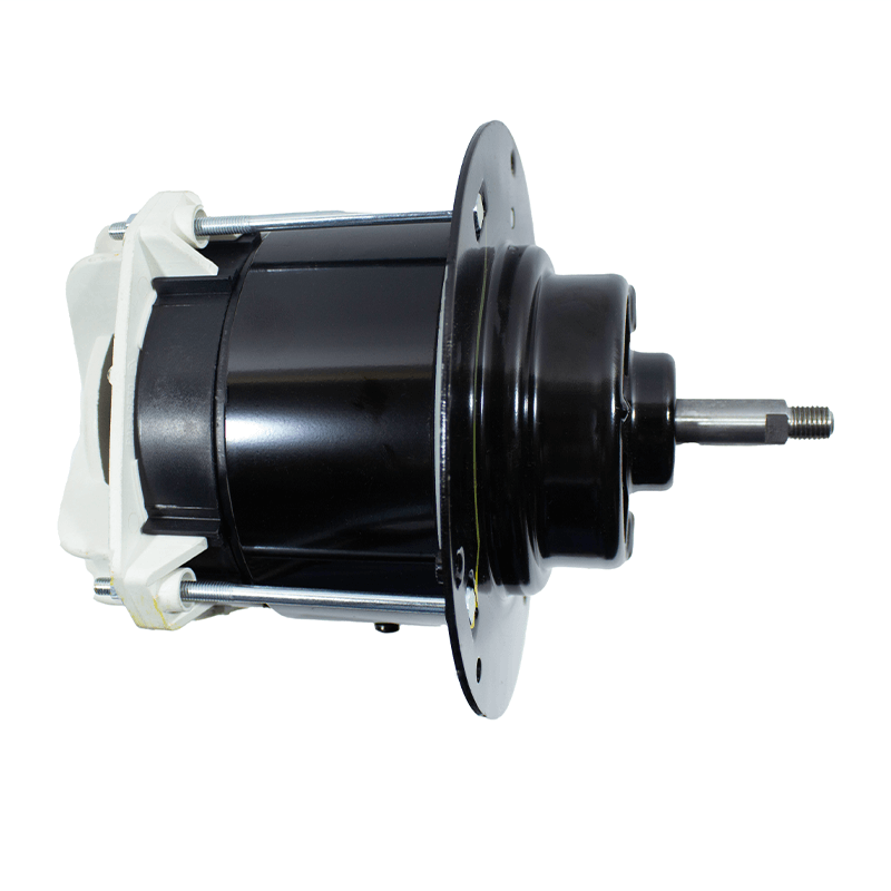 Greenworks® Motor (2534202CT) (R0202175-00)