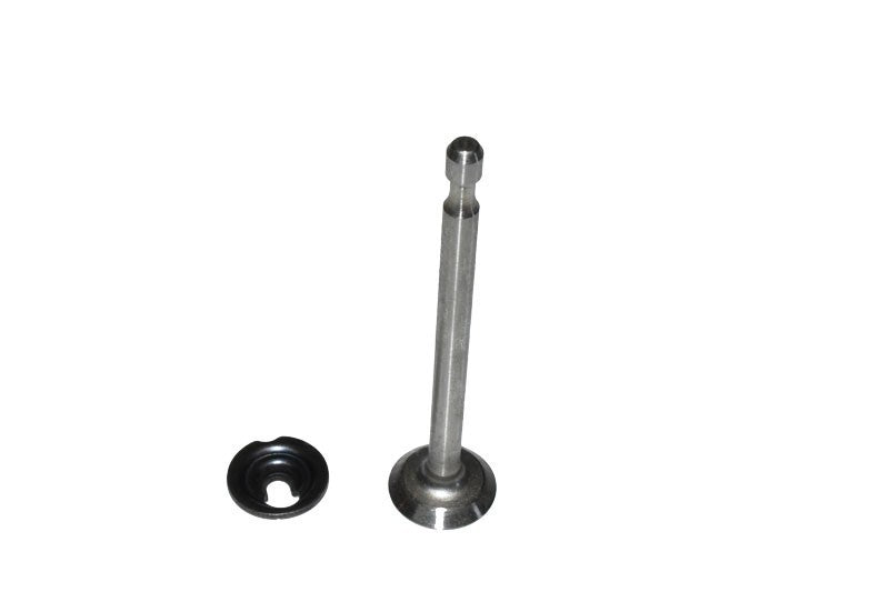 BRIGGS & STRATTON® EXHAUST VALVE (296676)