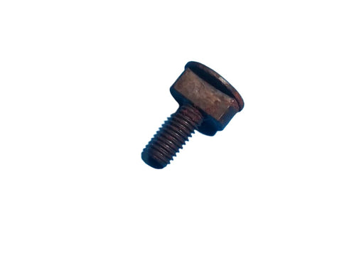 STIHL® Guide Screw- Currently on Backorder (42067136501)
