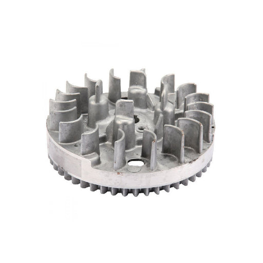 Briggs & Stratton® Flywheel 793619 793489 (590420)