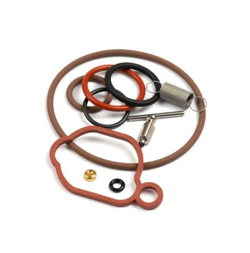 Briggs & Stratton® Overhaul Carb Kit 590589 (84013065)