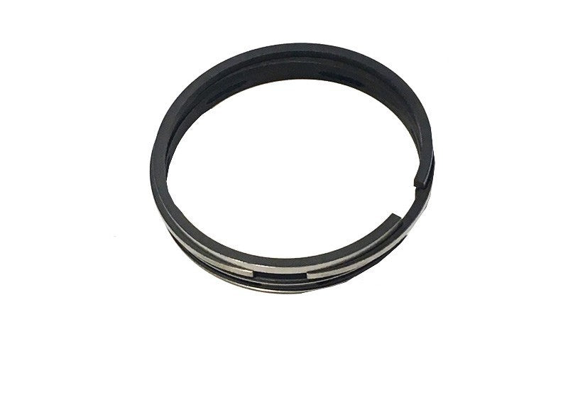 BRIGGS & STRATTON® RING SET STD (294232)