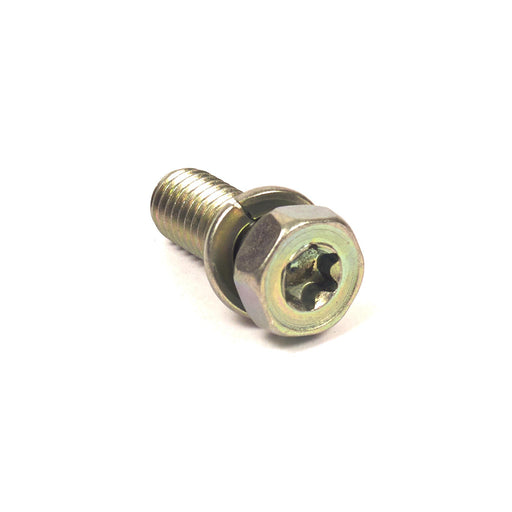 Briggs & Stratton® Exhaust Manifold Screw (691902)