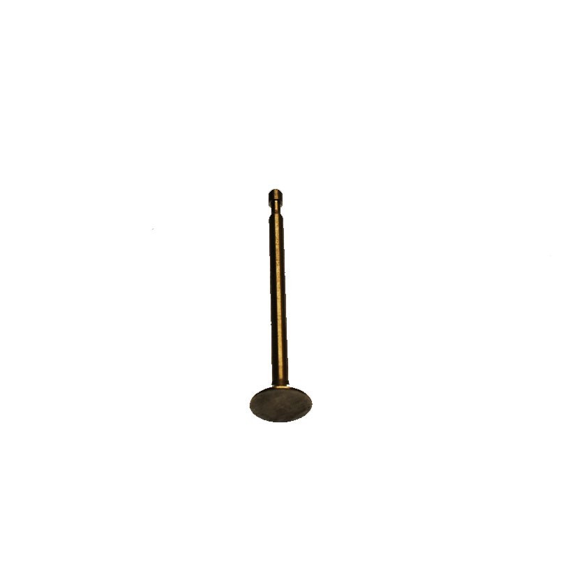 BRIGGS & STRATTON® EXHAUST VALVE (212004)