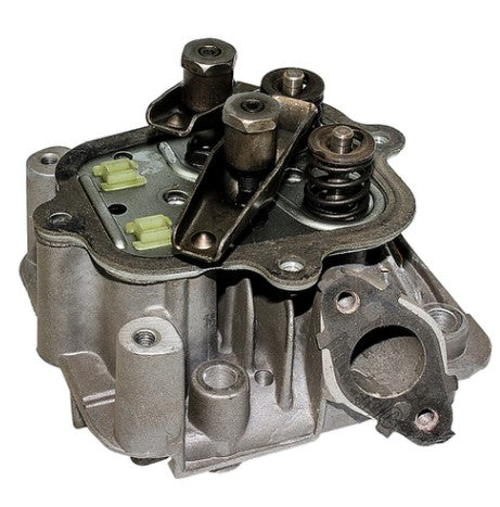 Briggs & Stratton® Cylinder Head (791720)