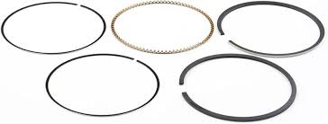 Briggs & Stratton® Piston Ring Set (791969)