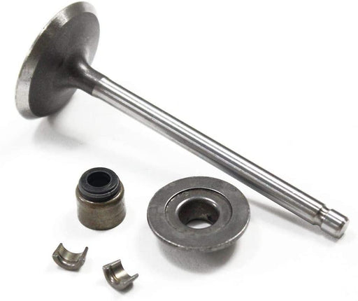 Briggs & Stratton® Intake Valve 793556 (84013572)