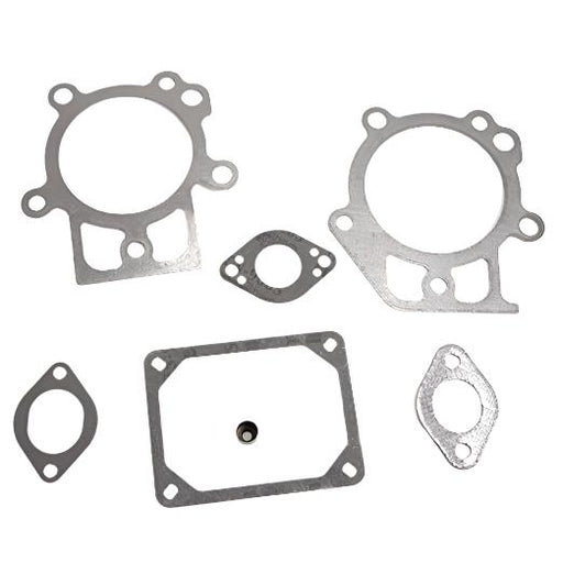 Briggs & Stratton® Snowblower Gasket Valve Set (795200)