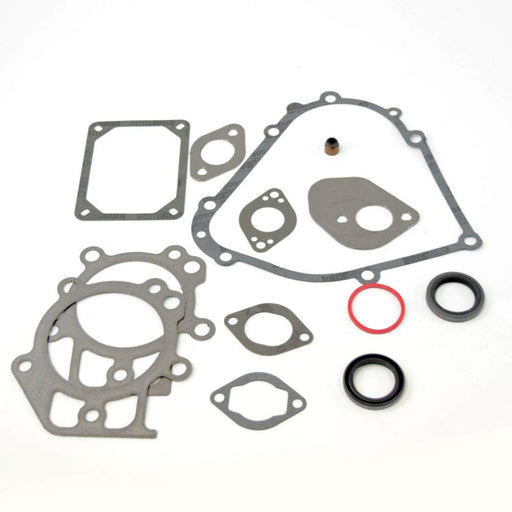 Briggs & Stratton® Engine Gasket Set (795201)
