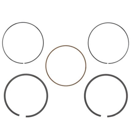 Briggs & Stratton® Ring Set 796641 (795431)