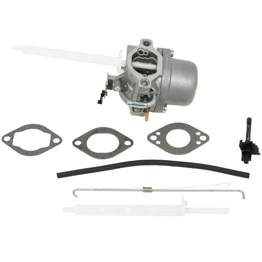Briggs & Stratton® Snowblower Carburetor 794593 793161 (796122)