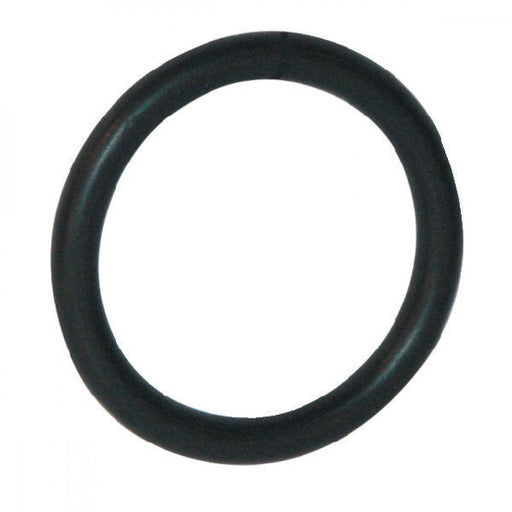 Briggs & Stratton® Seal O-ring (798511)