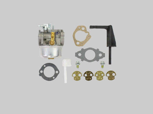 Briggs & Stratton® Carburetor Assembly (798654)