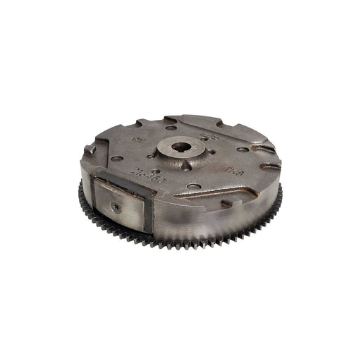 Briggs & Stratton® Flywheel (798882)