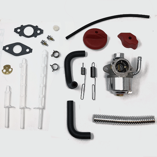 Briggs & Stratton® Carburetor (798917)