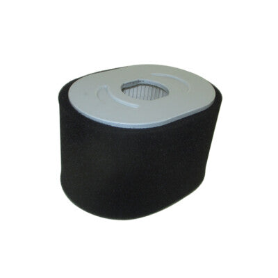 Briggs & Stratton® Air Filter Assembly (799818)