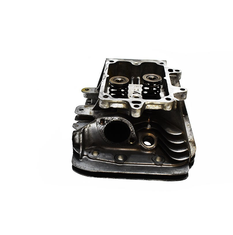 BRIGGS & STRATTON® CYLINDER HEAD (591750)