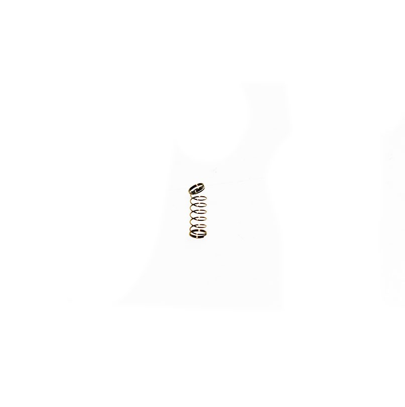 BRIGGS & STRATTON® PAWL SPRING (691528)