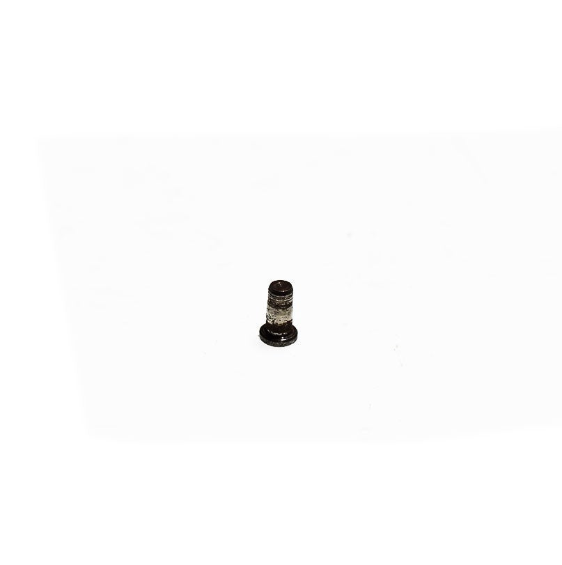 BRIGGS & STRATTON® PLUG (692882)