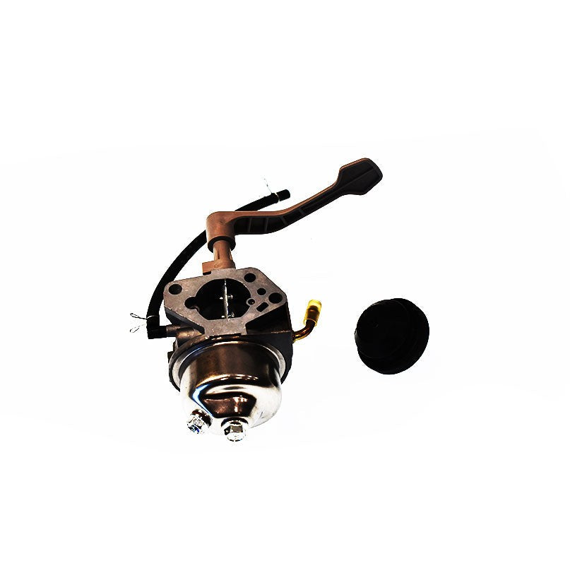 Toro® COMPLETE CARB SERVICE (121-0345)