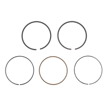 Briggs & Stratton® Piston Ring Set Standard (791787)