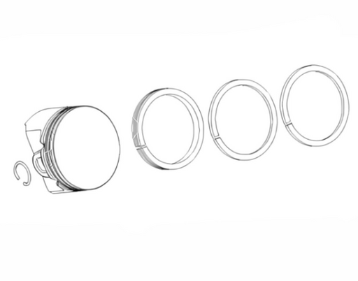 Briggs & Stratton® Snowblower Piston Ring Kit (791791)